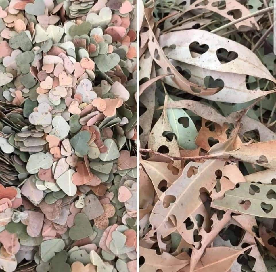 BOHO ΔΕΞΙΩΣΗ ΓΑΜΟΥ ΤΑ CONFETTI ΤΟΥ ΒΟΗΟ ΓΑΜΟΥ