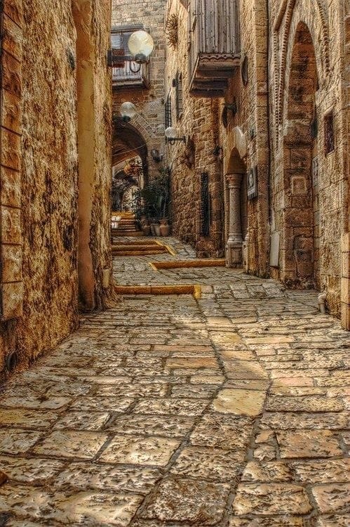 ΤΑΞΙΔΙ ΤΟΥ ΜΕΛΙΤΟΣ ΣΤΟ ΝΗΣΙ ΤΩΝ ΙΠΠΟΤΩΝ