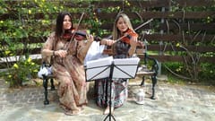 Legato Violins