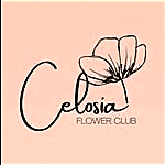 CELOSIA FLOWERS CLUB