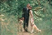 Cult Pics Wedding Photography & Films