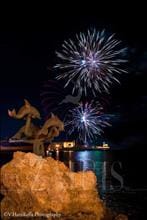 ZAIRIS FIREWORKS