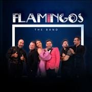 Flamingos The Band