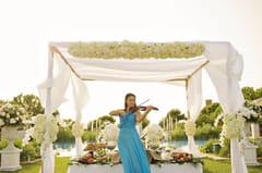Violin Events Music