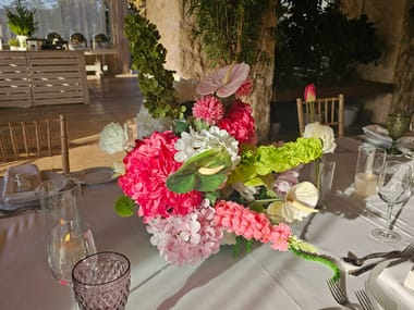 Colorful Wedding — PS SERVICES (φωτογραφία 4)