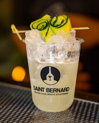 SAINT BERNARD 7