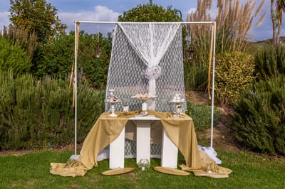 ΔΡΟΣΟΥ ΕΙΡΗΝΗ Eri's Minimal Weddings 7
