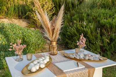 ΔΡΟΣΟΥ ΕΙΡΗΝΗ Eri's Minimal Weddings 1