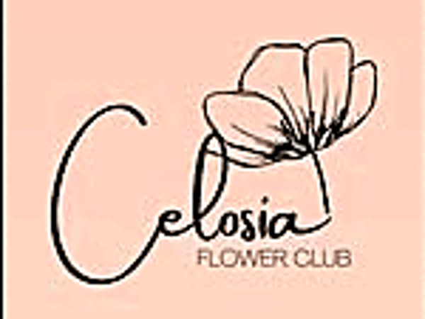 CELOSIA FLOWERS CLUB
