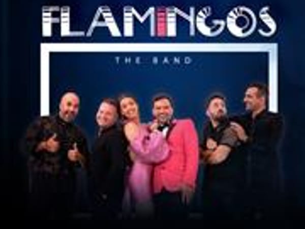Flamingos The Band