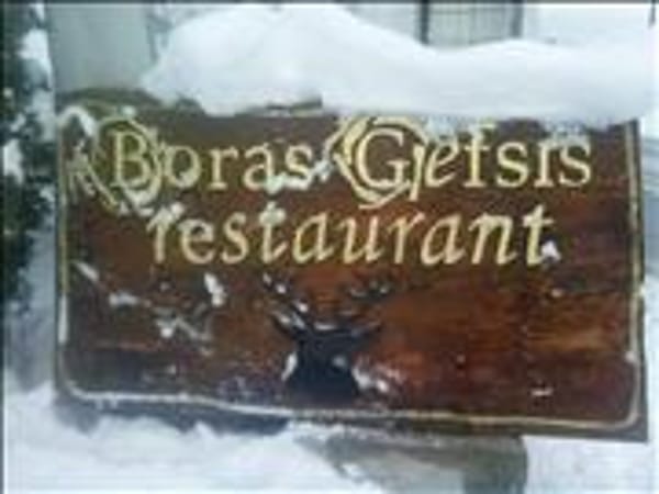 Voras gefsis