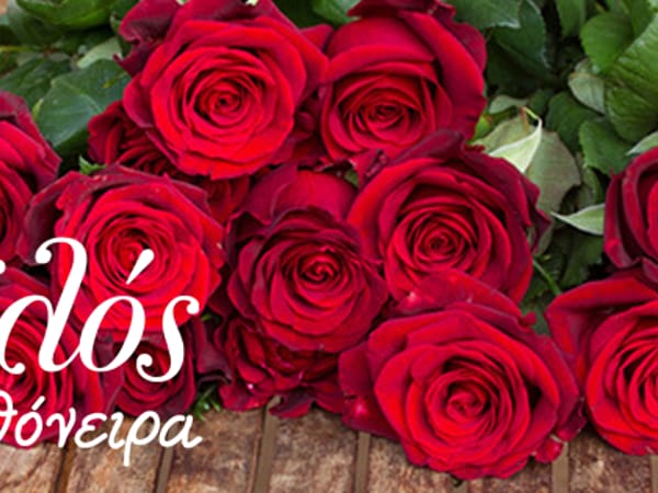 Ανθόνειρα Ροϊλός