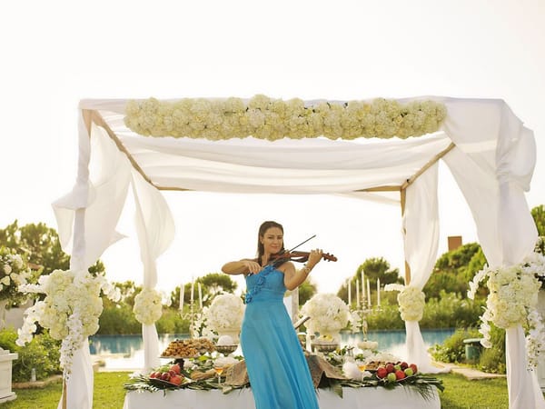 Violin Events Music