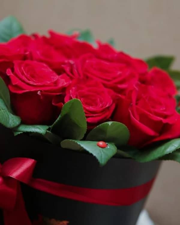 by kentia — Florist, Θεσσαλονίκη