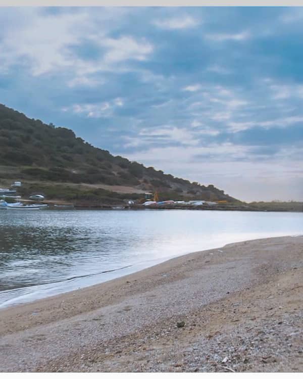 Chinos film wedding — Βιντεογράφος, Ζωγράφου