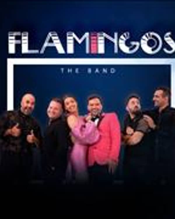 Flamingos The Band — Ορχήστρες, Αθήνα
