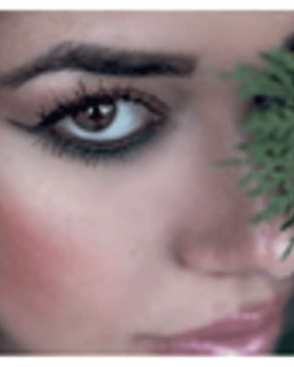 Semina MUA — Makeup Artist