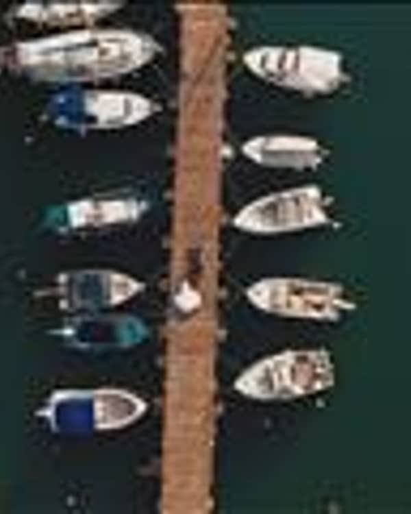 Photogram - Photografy Studio — Φωτογράφος