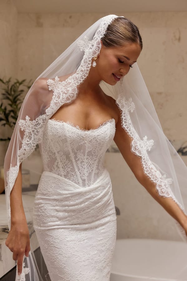 BRIDESWINGS