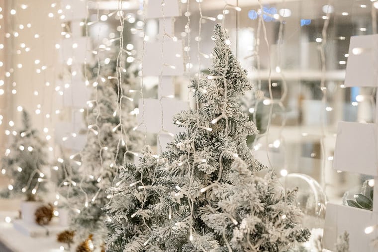 Χριστουγεννιάτικος γάμος στο Eleon Loft — Eleon Loft, Βοτανικός (φωτογραφία 7)