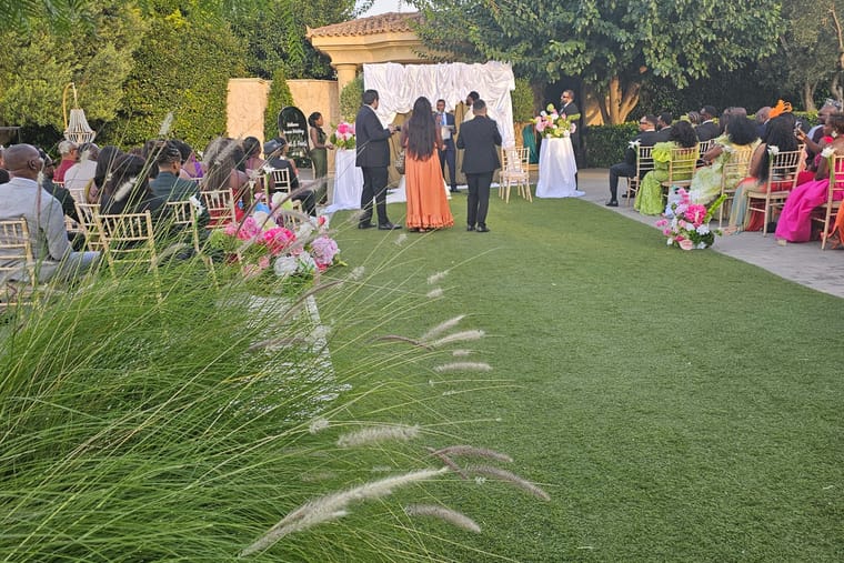 Colorful Wedding — PS SERVICES (φωτογραφία 1)