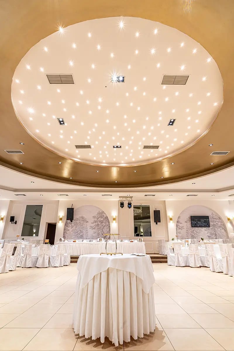 Αλέκος HALL - Αίθουσα Εκδηλώσεων — Χώρος Δεξίωσης, Ιωάννινα (φωτογραφία 2)